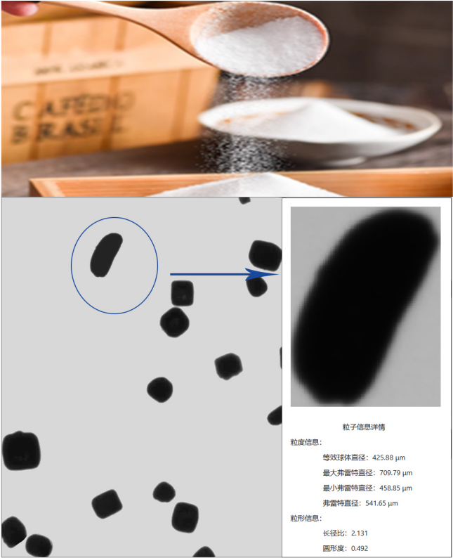 SND5000動态圖像粒度儀可高清成像.png